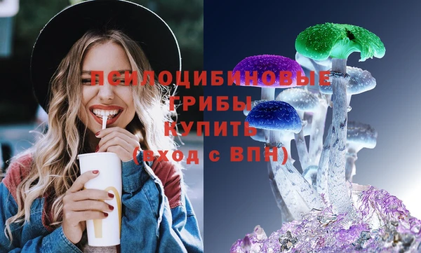 герыч Арсеньев