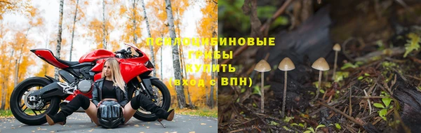ALPHA-PVP Армянск