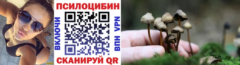 Галлюциногенные грибы ЛСД  даркнет наркотические препараты  Пересвет  omg как зайти 